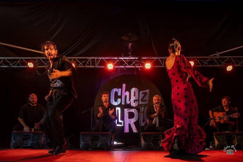 flamenco (67)